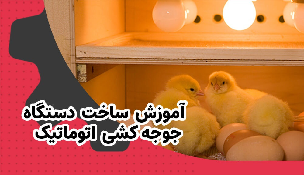 آموزش ساخت دستگاه جوجه کشی اتوماتیک